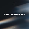 I Just Wanna Say - Single