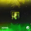 Adana - Single album lyrics, reviews, download
