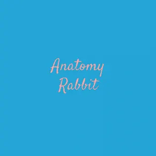 Album herunterladen Anatomy Rabbit - Holland Lop