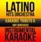 Me and Mr. Jones - Latino Hits Orchestra lyrics