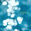 Christmas Time Is Here (Arr. for Piano) song lyrics
