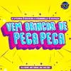 Stream & download A VITORIA É SAFADA A KIMBERLLY É SAFADA VEM BRINCAR DE PEGA PEGA (feat. DJ GHR, MC Nem JM & MC RD) - Single