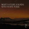 Night Nature Sounds with White Noise: Soft Crickets, Owls, Water & Rain, Loopable album lyrics, reviews, download