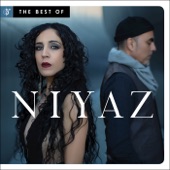The Best of Niyaz artwork