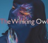 The Winking Owl