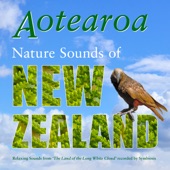 AOTEAROA – Nature Sounds of New Zealand (Extended Edition) artwork