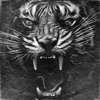 Panthera - Single