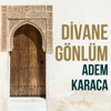 Divane Gönlüm