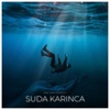 Suda Karınca - Single