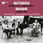 Beethoven: Clarinet Trio, Op. 11 "Gassenhauer" - Brahms: Clarinet Trio, Op. 114 artwork