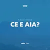 Ce E Aia? (feat. Phunk B) - Single album lyrics, reviews, download