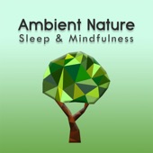 Sleep to Ambient Nature Sounds artwork