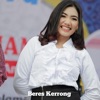 Beres Kerrong (feat. Lusyana Jelita & Andi KDI) [Live] - Single