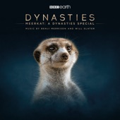 Meerkat: A Dynasties Special (Original Television Soundtrack) artwork