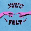 Felt (Deluxe) artwork