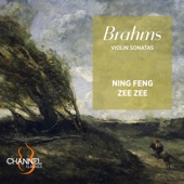 Violin Sonata No. 3 in D Minor, Op. 108: I. Allegro artwork