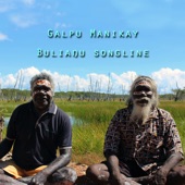 Galpu Manikay Bulinangu Songline (feat. Larrjtannga Larry Gurruwiwi, Gayalnga Andrew Gurruwiwi, Guyundu Adrian Gurruwiwi, Marritngu Vernon Gurruwiwi & Marimunuk Dion Gurruwiwi) artwork