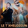 Le T'xhelozojn (feat. Majk) - Single