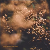 Spectre of the Past ep artwork