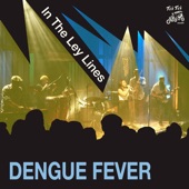 Dengue Fever - New Year's Eve