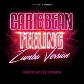 Caribbean Feeling artwork