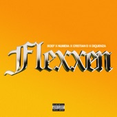 Flexxen (feat. Diquenza) artwork