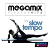 Stream & download Megamix Fitness Hits For Slow Tempo