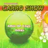 Amor De Unas Horas - Single album lyrics, reviews, download