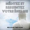 Méditez et ressentez votre énergie album lyrics, reviews, download