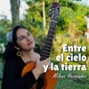 Entre el Cielo y la Tierra - Single