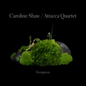 Caroline Shaw: Evergreen artwork