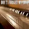 Don't Forget My Love (Piano Version) song lyrics