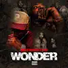 Wonder (feat. Rahli) - Single album lyrics, reviews, download