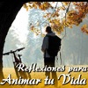 Reflexiones para Animar Tu Vida, 2010