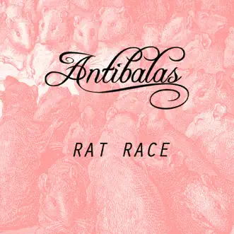 Rat Race by Antibalas song reviws