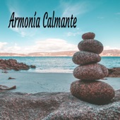 Armonía Calmante artwork