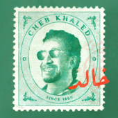 Forever Love (feat. Riffat Sultana) [Arab-Bhangra] - Khaled