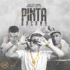 Stream & download PINTA BACANA - Single