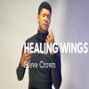 Healing Wings - Single