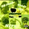 Nothing Changed (feat. Ashley Hamel) - DB Pooh lyrics