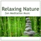 Water Music Oasis - Relaxing Nature Sounds Collection lyrics