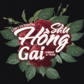 Sầu Hồng Gai (Lofi Version) artwork