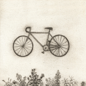 Bicycle - RM