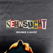 Sehnsucht artwork