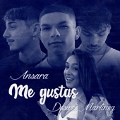 Me Gustas artwork