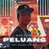 Peluang (feat. Bearboi & pyaniX) artwork