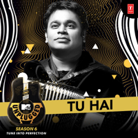 A. R. Rahman & Sanah Moidutty - Tu Hai (MTV Unplugged Season 6) artwork