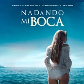 Nadando en Mi Boca artwork