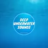 Deep Underwater Sounds for Sleep & Relaxation album lyrics, reviews, download