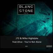 You're Not Alone (feat. Olive) [Remix] artwork